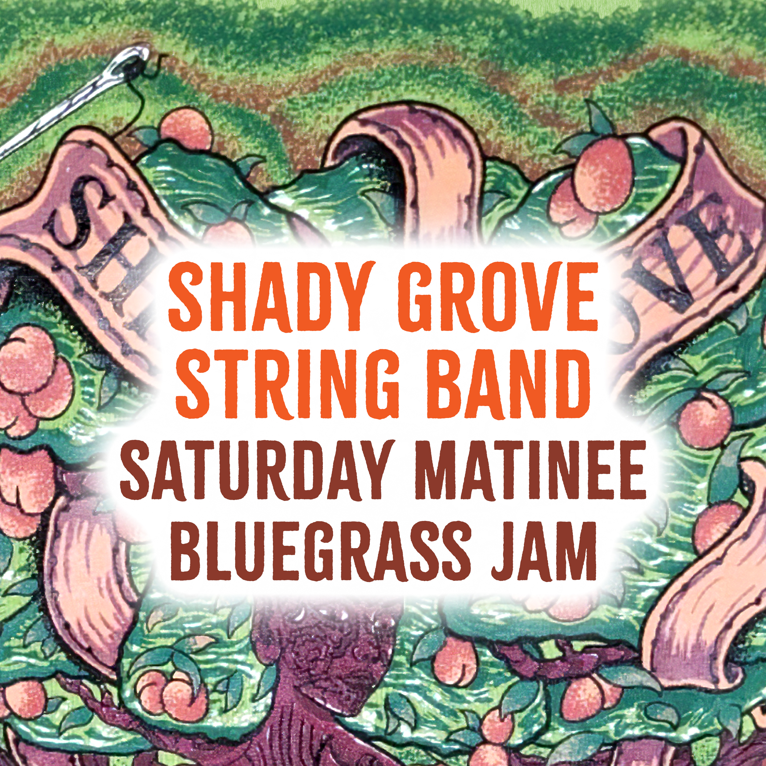 Shady Grove String Band: Billy Strings Weekend Saturday Matinee!